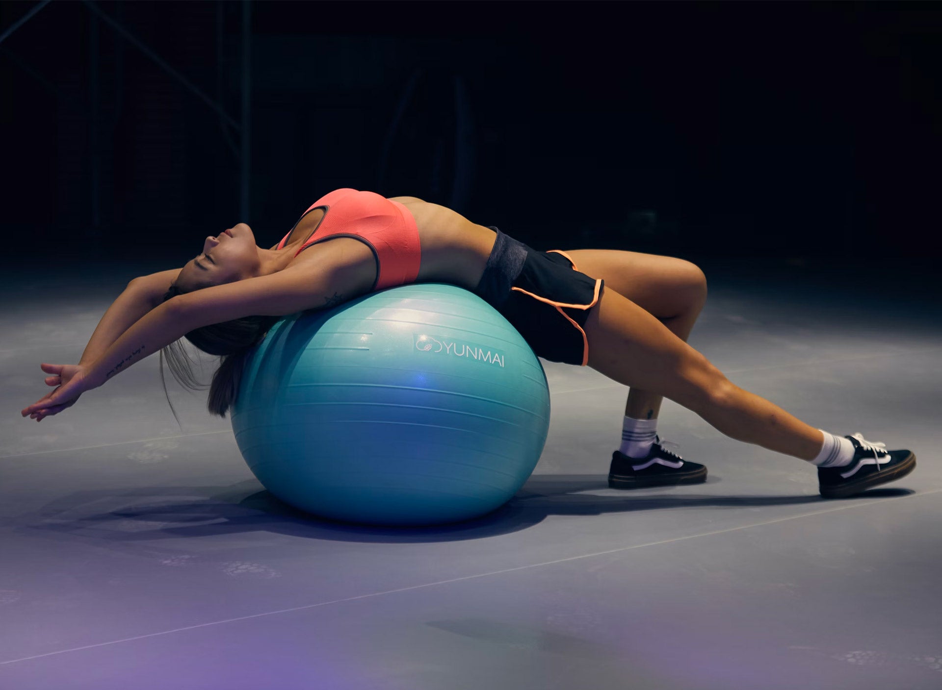 EXERCISE BALLS – Strength Pro Equipment